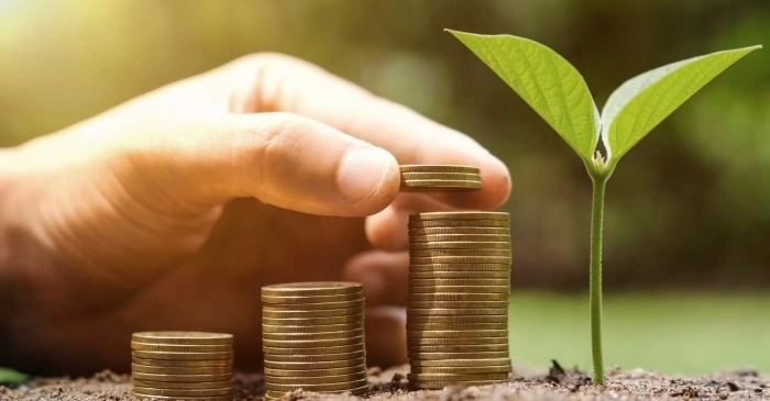 Выплата дивидендов по акциям Выплата дивидендов по акциям